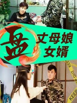 短剧丈母娘盘女婿海报