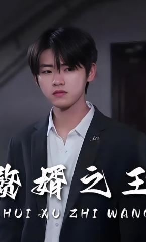 短剧《赘婿之王》海报