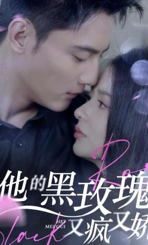 短剧他的黑玫瑰又疯又娇海报