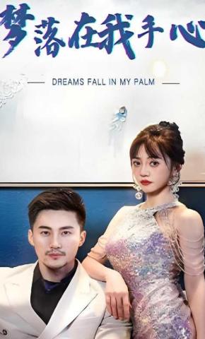 短剧梦落在我手心海报