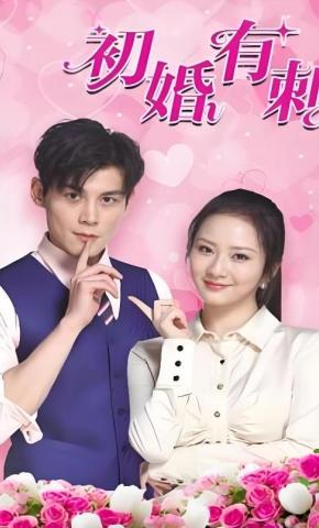 短剧《初婚有刺》海报