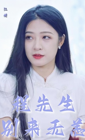 短剧程先生别来无恙海报