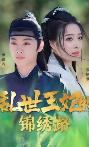 短剧乱世王妃的锦绣路海报