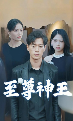 短剧至尊神王海报