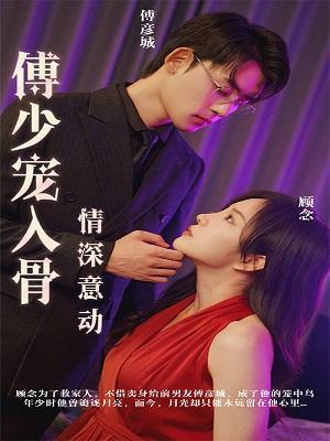 短剧《情深意动：傅少宠入骨》海报