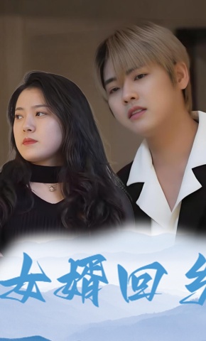 短剧女婿回乡海报