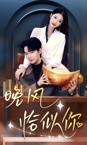 短剧《晚风恰似你》海报