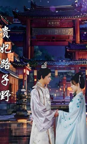 短剧《贵妃路子野》海报