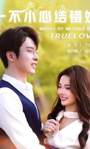 短剧《一不小心结错婚》海报