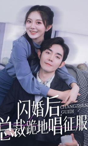 短剧《闪婚后，总裁跪地唱征服》海报