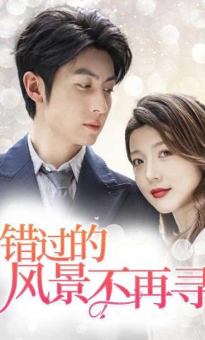 短剧错过的风景不再寻海报