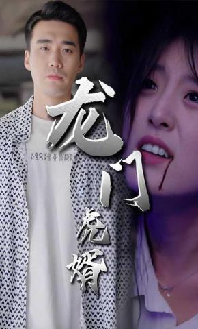 短剧龙门虎婿海报