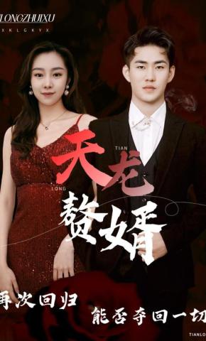 短剧《天龙赘婿》海报