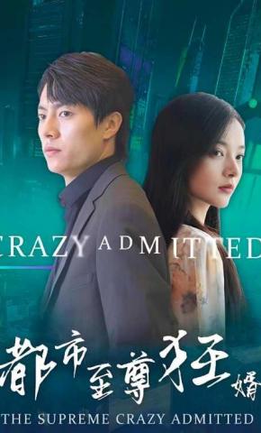 短剧《都市至尊狂婿》海报