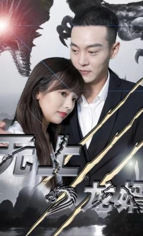 短剧无上龙婿海报