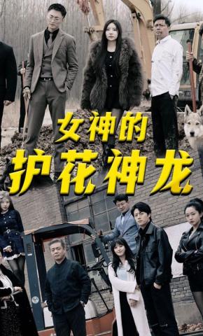 短剧女神的护花神龙海报
