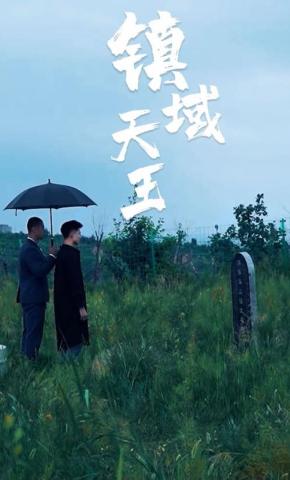 短剧镇域天王海报