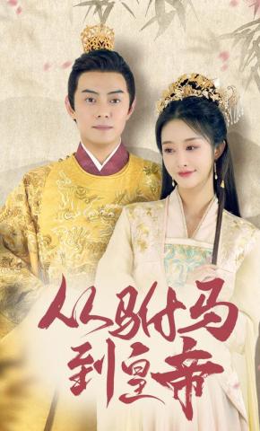 短剧《从驸马到皇帝》海报