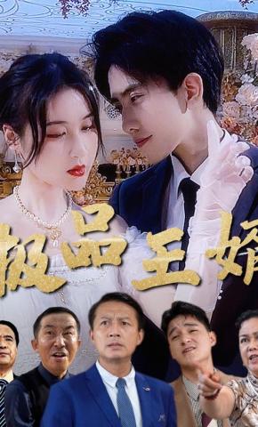 短剧极品王婿海报