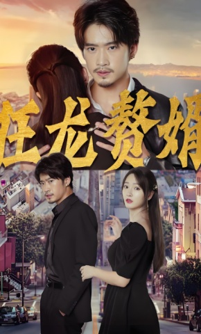 短剧狂龙赘婿海报