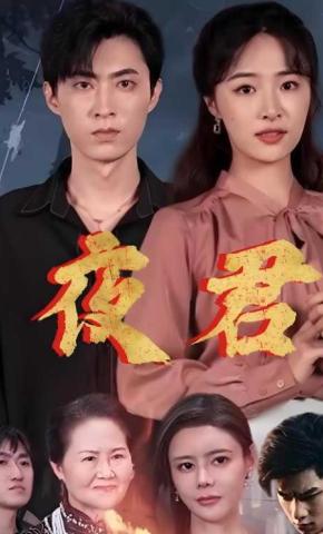 短剧《夜君》海报