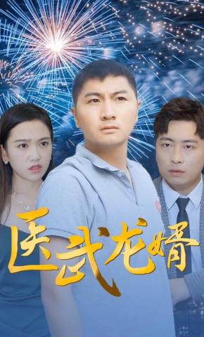 短剧医武龙婿海报