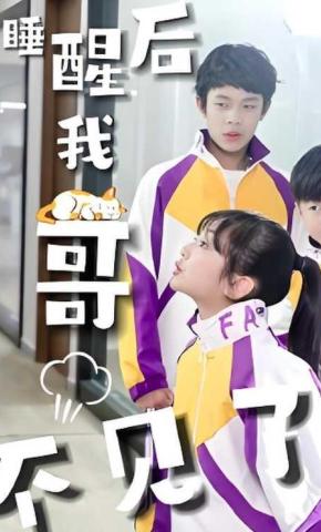 短剧睡醒后我哥不见了海报