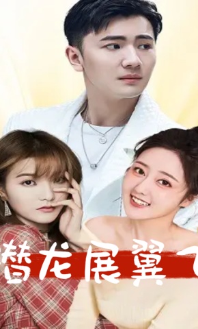 短剧《潜龙展翼飞》海报