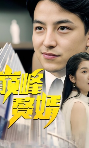 短剧巅峰赘婿海报