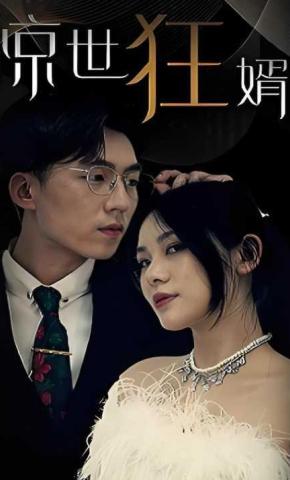 短剧《惊世狂婿》海报