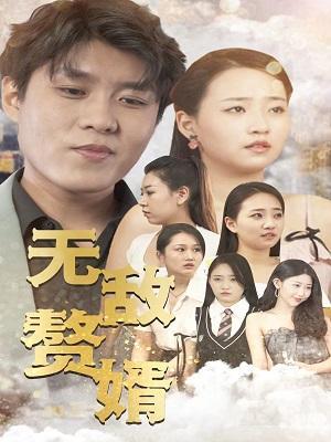 短剧无敌赘婿海报