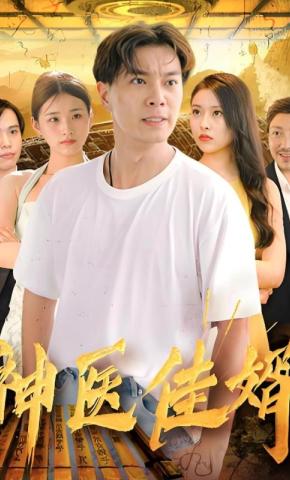 短剧《神医佳婿》海报