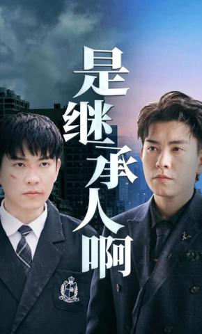 短剧是继承人啊海报