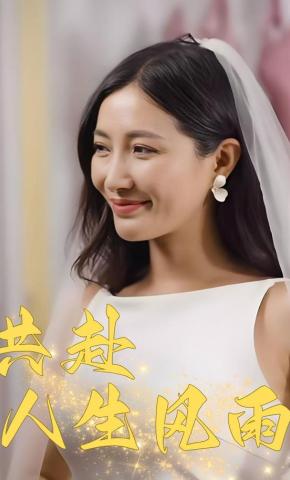 短剧共赴人生风雨海报