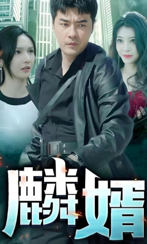 短剧《麟婿》海报