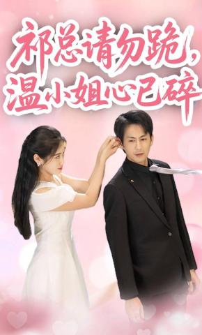 短剧祁总请勿跪，温小姐心已碎海报