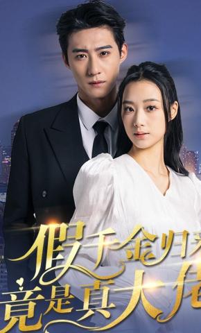 短剧《假千金归来竟是真大佬》海报