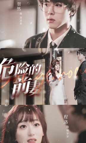 短剧危险的前妻海报