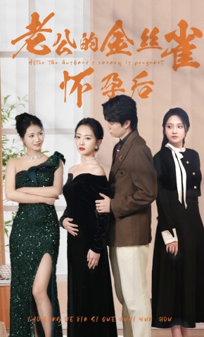 短剧老公的金丝雀怀孕后海报