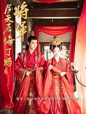 短剧将军，今天后悔了吗海报