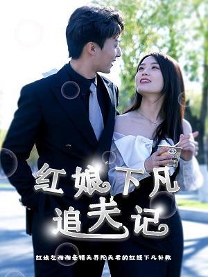 短剧红娘下凡追夫记海报