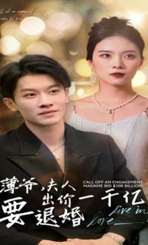 短剧薄爷，夫人出价一千亿要退婚海报