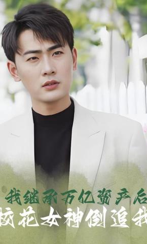 短剧我继承万亿资产后校花女神倒追我海报