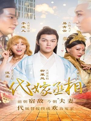 短剧代嫁丞相海报