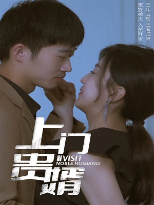 短剧《上门贵婿》海报