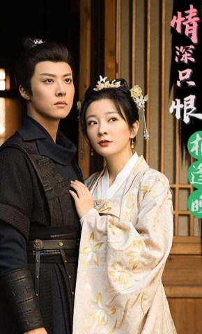 短剧情深只恨相逢晚海报