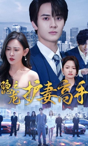 短剧隐龙之护妻高手海报