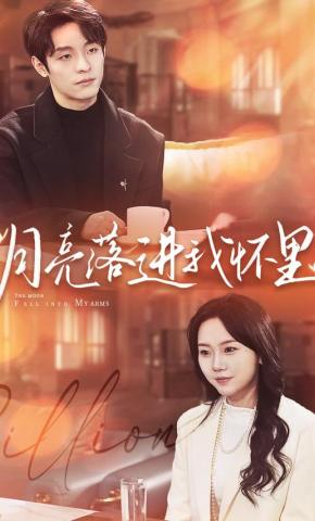 短剧月亮落进我怀里海报