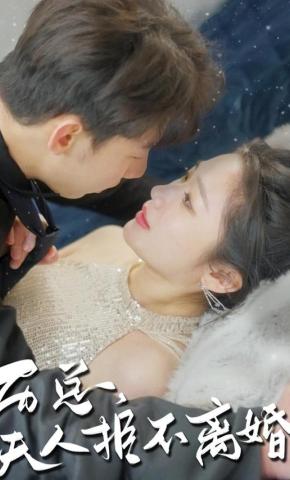 短剧历总夫人拒不离婚海报