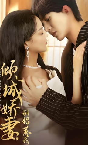 短剧倾城娇妻，别招惹我海报